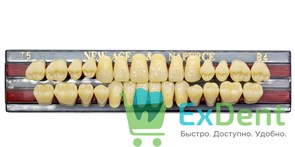 Гарнитур акриловых зубов B4, T5, Naperce и New Ace (28 шт)