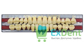Гарнитур акриловых зубов D4, T5, Naperce и New Ace (28 шт)