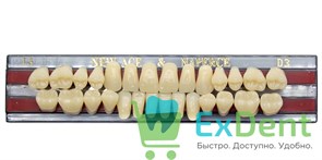Гарнитур акриловых зубов D3, T3, Naperce и New Ace (28 шт)