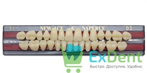 Гарнитур акриловых зубов D3, T2, Naperce и New Ace (28 шт)