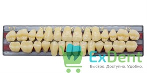 Гарнитур акриловых зубов A3, TL7, Naperce и New Ace (28 шт)