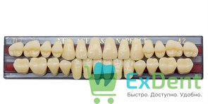 Гарнитур акриловых зубов A2, TL7, Naperce и New Ace (28 шт)
