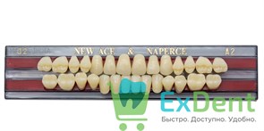 Гарнитур акриловых зубов A2, О2, Naperce и New Ace (28 шт)