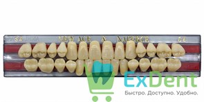 Гарнитур акриловых зубов C4, S4, Naperce и New Ace (28 шт)