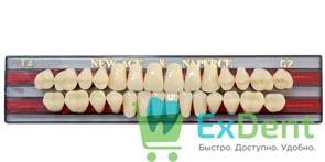 Гарнитур акриловых зубов C2, T4, Naperce и New Ace (28 шт)