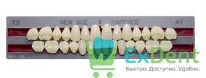 Гарнитур акриловых зубов A1, T2, Naperce и New Ace (28 шт)