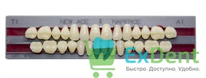 Гарнитур акриловых зубов A1, T1, Naperce и New Ace (28 шт)