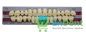 Гарнитур акриловых зубов B2, T6, Naperce и New Ace (28 шт)