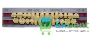 Гарнитур акриловых зубов A3,5, T1, Naperce и New Ace (28 шт)