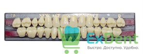 Гарнитур акриловых зубов D3, T6, Naperce и New Ace (28 шт)