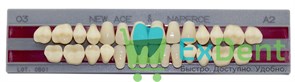 Гарнитур акриловых зубов A2, О3, Naperce и New Ace (28 шт)