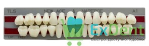 Гарнитур акриловых зубов A1, TL5, Naperce и New Ace (28 шт)