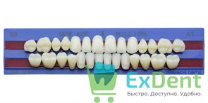 {{photo.Alt || photo.Description || 'Гарнитур акриловых зубов A1, S3, M30, Million и New Ace (28 шт)'}}