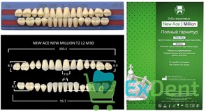 {{photo.Alt || photo.Description || 'Гарнитур акриловых зубов A3.5, T2, M30, Million и New Ace (28 шт)'}}