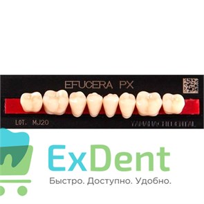 {{photo.Alt || photo.Description || 'Гарнитур боковых зубов  Efucera PX - нижние, цвет A2 фасон 30, композитные трехслойные (8шт)'}}