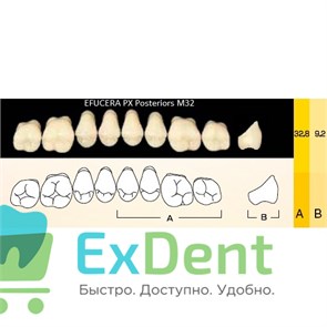 {{photo.Alt || photo.Description || 'Гарнитур боковых зубов  Efucera PX - верхние, цвет A1 фасон 32, композитные трехслойные (8шт)'}}