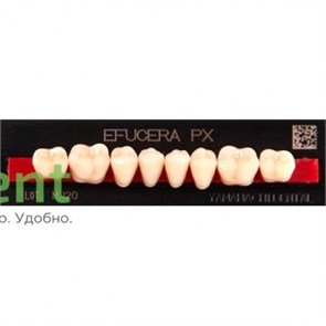 {{photo.Alt || photo.Description || 'Гарнитур боковых зубов  Efucera PX - нижние, цвет A1 фасон 32, композитные трехслойные (8шт)'}}