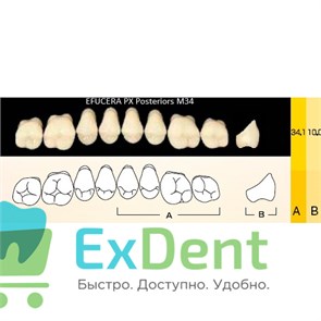 {{photo.Alt || photo.Description || 'Гарнитур боковых зубов  Efucera PX - верхние, цвет A2 фасон 34, композитные трехслойные (8шт)'}}
