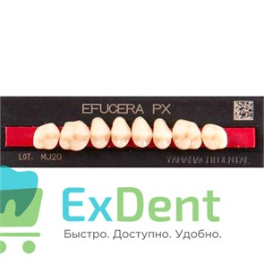 {{photo.Alt || photo.Description || 'Гарнитур боковых зубов  Efucera PX - верхние, цвет A3 фасон 34, композитные трехслойные (8шт)'}}