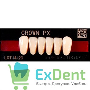 {{photo.Alt || photo.Description || 'Гарнитур фронтальных зубов  Crown PX - нижние, цвет A3,5 фасон N42, композитные трехслойные (6шт)'}}