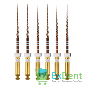 {{photo.Alt || photo.Description || 'ProTaper (ПроТейпер) Gold машинный S2, 25 мм, Dentsply, для лечения сложных случаев (6 шт)'}}