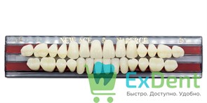Гарнитур акриловых зубов B1, T4, Naperce и New Ace (28 шт)