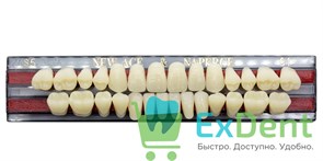 Гарнитур акриловых зубов C1, S5, Naperce и New Ace (28 шт)