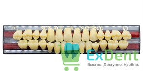 Гарнитур акриловых зубов B3, T6, Naperce и New Ace (28 шт)