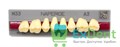 Гарнитур акриловых боковых зубов A3, M33U Naperce Posterior (8 шт) - фото 10250