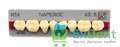 Гарнитур акриловых боковых зубов A3.5, M34L Naperce Posterior (8 шт) - фото 18331