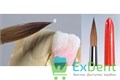 Кисть Базик Лайн / Basic line "красная куница" №08 1717-0008 1шт - фото 24396