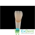 Воск моделир. Гео Эксперт Гингива А. Бругуера / GEO Expert Gingiva A. Bruguera 2x40гр - фото 25138