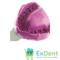 Hydrogum (Гидрогум) 5 - альгинат с быстрым схватыванием, сиреневый (453 г) - фото 25808