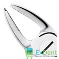 Щипцы №17 для удаления моляров верхней челюсти, правые (000-110) - фото 32813