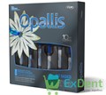 OPALLIS Kit (Опалис Кит) - Базовый набор (5 х 4 гр. + 1 х 2 гр) - фото 35421
