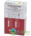 Остеоматрикс, крошка (0,25 - 1 мм, 1 куб.см.) - костный матрикс с сохраненным коллагеном - фото 38176