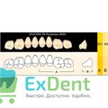 Гарнитур боковых зубов  Efucera PX - верхние, цвет A1 фасон 30, композитные трехслойные (8шт) - фото 39899