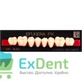 Гарнитур боковых зубов  Efucera PX - нижние, цвет A3 фасон 30, композитные трехслойные (8шт) - фото 39910