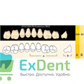 Гарнитур боковых зубов  Efucera PX - верхние, цвет A1 фасон 32, композитные трехслойные (8шт) - фото 39915