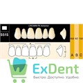 Гарнитур фронтальных зубов  Crown PX - верхние, цвет A1 фасон S51S, композитные трехслойные (6шт) - фото 39977