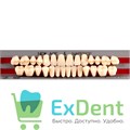 Гарнитур акриловых зубов A1, S3, Naperce и New Ace (28 шт) - фото 40123