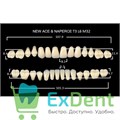 Гарнитур акриловых зубов B1, T3, Naperce и New Ace (28 шт) - фото 40133