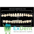 Гарнитур акриловых зубов B1, S6, Naperce и New Ace (28 шт) - фото 40137