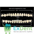 Гарнитур акриловых зубов C3, T5, L7, M32 Gloria New Ace Million (560 шт) - фото 40172