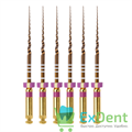 ProTaper (ПроТейпер) Gold машинный S1, 25 мм, Dentsply, для лечения сложных случаев (6 шт) - фото 41083