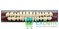 Гарнитур акриловых зубов A1, S4, Naperce и New Ace (28 шт) - фото 9502