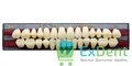 Гарнитур акриловых зубов A1, S5, Naperce и New Ace (28 шт) - фото 9503