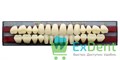 Гарнитур акриловых зубов A1, T5, Naperce и New Ace (28 шт) - фото 9506