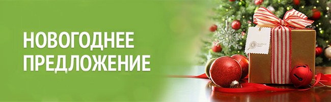 Новогоднее Предложение Новогоднее Предложение